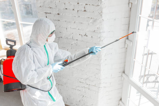 Best Commercial Mold Inspection  in Wellington, KS